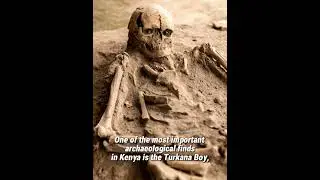 1.5 million years old #shorts