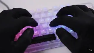 Typing on a Transparent RGB Keyboard = ASMR Satisfaction 🎛️✨