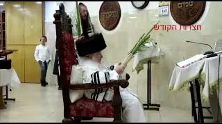 Hoshana Rabbah With Kaliver Rebbe - 2017/5778