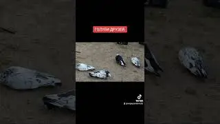 6 ноября 2023 г.