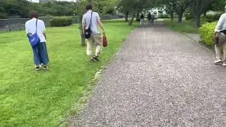 TAMAN DI JEPANG !!! Jalan-jalan di taman sakura