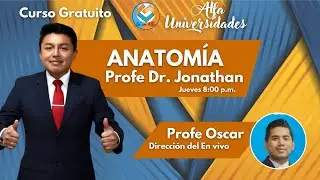 ANATOMÍA. Alfa Universidades. Clases Gratuitas