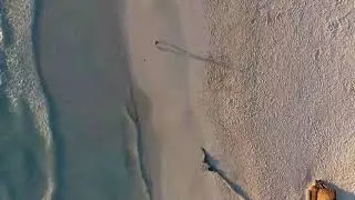 queen beach super running seen.