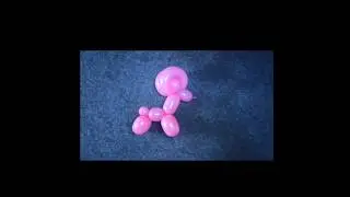 Balloon Animals Twisting #balloon #balloonideas #balloontwisting #balloons #balloonshortsvideo #fyp