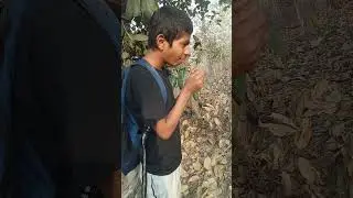 Sasta man vs wild 🕷️🕷️ | #part1 | #shorts #trending #manvswild