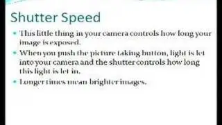 Beginners Photography Tips - Digital Photography Tips