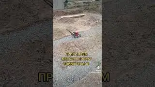 11 июня 2024 г.