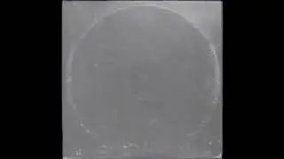 The Stupid Alibis - Glass Onion