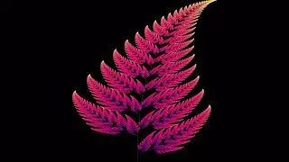 Barnsley Fern 8K