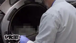 The Most Sustainable Way to Die: Water Cremation
