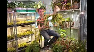 Выращиваем хищные растения с Сергеем Куницыным Flowerrr.ru #орхидиумстрим