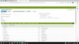 Custom form not applying to record on netsuite fix