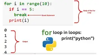 Python For Loops