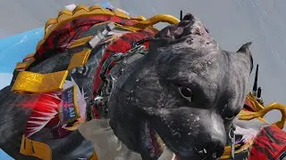 Playing as a Tracker