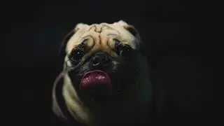Tongue Click Sound