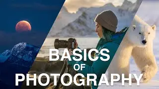 MASTER YOUR CAMERA in 10 Minutes. Settings, Dials, and Functions.