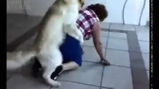 Dog Rapes Grandma! (Original)