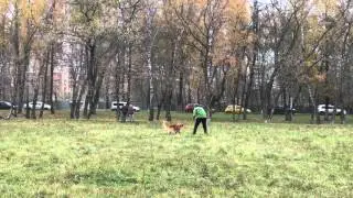 Ф.Фристайл Алия и Ирвин