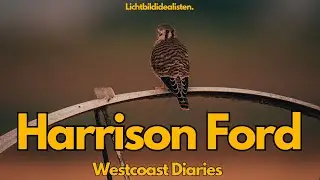 Harrison Ford und Wildlife Drive-by Teil2 - Westcoastdiaries 22