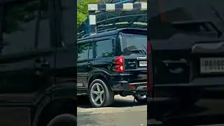 Modified Scorpio shorts 