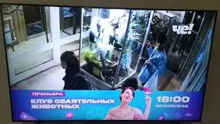 Че плашка Клуб обаятельных животных (18.04.2023)