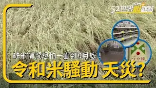 日本30年最嚴重米荒 搶米潮席捲全國【52世界心觀點S2 Ep3】