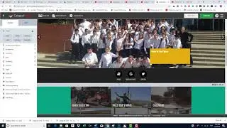 Catapult CMS Custom Components Homepage Buttons 2019