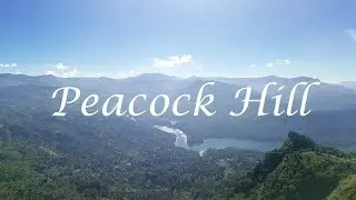 Peacock Hill | මොණර කන්ද | Pussellawa Sri Lanka