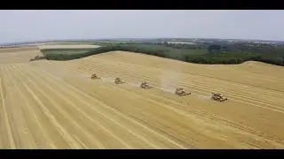 Engineering a Sustainable World: Pannonia Bio provide environmental benefits to multiple industries