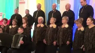 ОЙ У ВИШНЕВОМУ САДУ  українська народна пісня - хор "Джерела Кривбасу"
