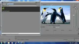 Sony Vegas Pro 11 Split screen View button tutorial