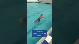 How to BREASTSTROKE Swim? #swimming