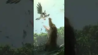 crocodile eats a bird