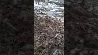 Дрожь земли 