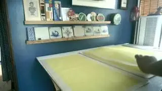 細川紙