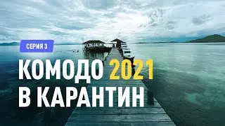 Путешествие с Бали на Комодо - Часть 3. Дорога домой
