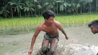 আইল ঠেলা নিয়ে বিশ্বযুদ্ধ