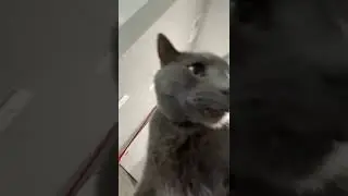 No, nuh-uh. WHAT ARE YOU DOING?