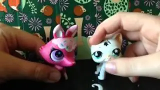 LPS Summer Paradise Introduction
