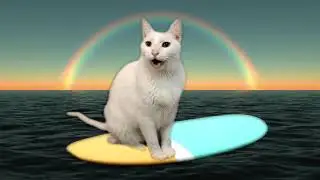 Leave the Door Open - Silk Sonic - by CATS