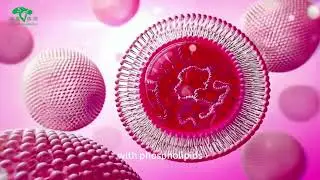LIPOSOME RESVERATROL