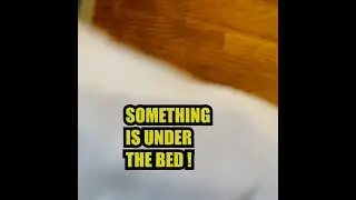 Found Something Scary Under The Bed! #shorts