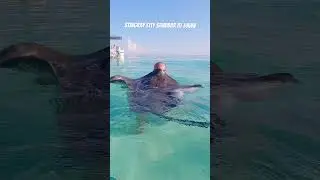 Dawn at Stingray City Sandbar Grand Cayman