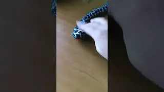 #2024🐍🐍
