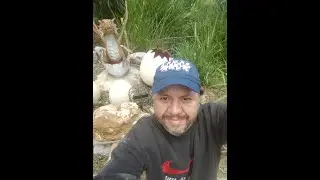 Nido de dragones en Orizaba, Veracruz, México