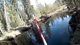Поиск хариуса