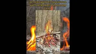 11 апреля 2024 г.