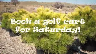 Welcome Spring! We're Now Open Saturdays
