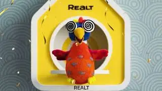 Realt KU-KU | case