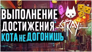 Stray | Достижение Кота не догонишь | Как пройти погоню от зурков Глава 2